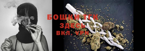 мдпв Осинники