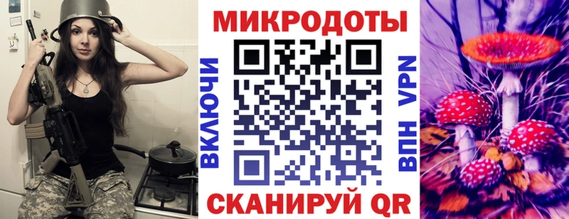 Галлюциногенные грибы GOLDEN TEACHER  где купить наркоту  Чадан 